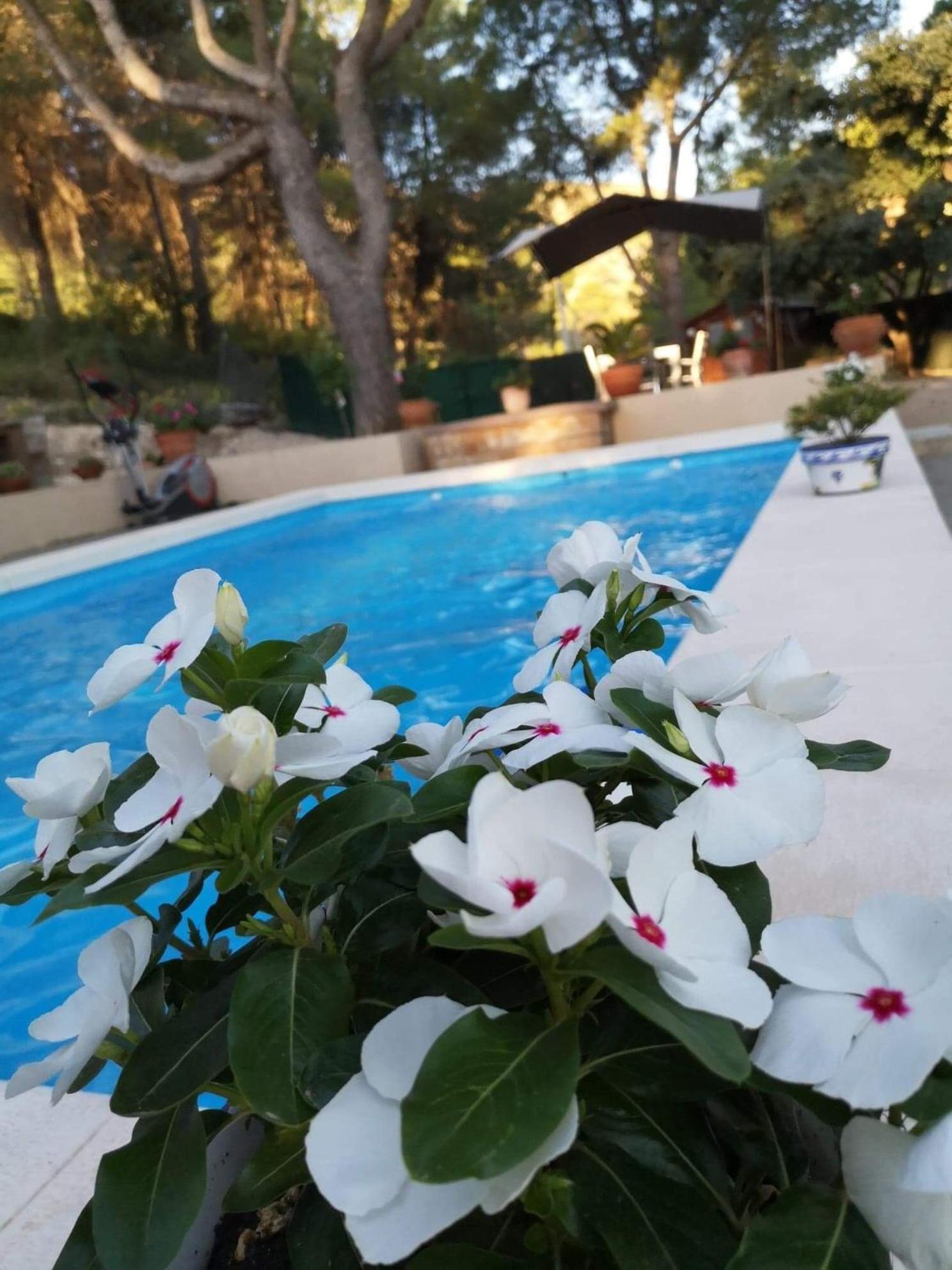 Casa Jetizo Bed and Breakfast Ontinyent Exteriör bild