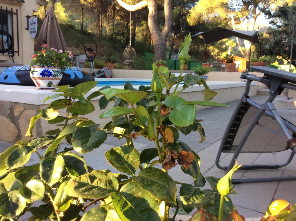 Casa Jetizo Bed and Breakfast Ontinyent Exteriör bild