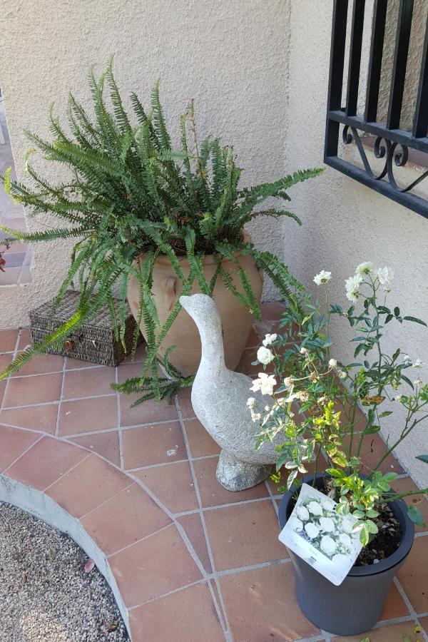 Casa Jetizo Bed and Breakfast Ontinyent Exteriör bild