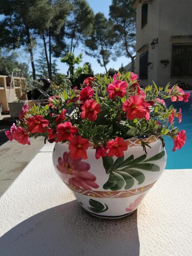 Casa Jetizo Bed and Breakfast Ontinyent Exteriör bild